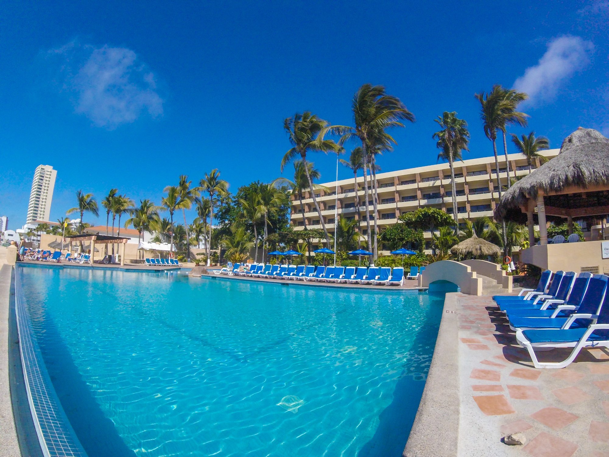 Fotos Y Opiniones De La Piscina Del The Palms Resort Of Mazatlan   The Palms Resort Of Mazatlan 