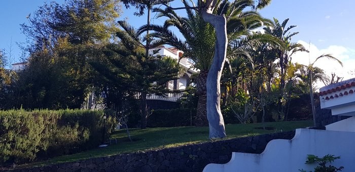 Imagen 22 de Hotel La Palma Romantica