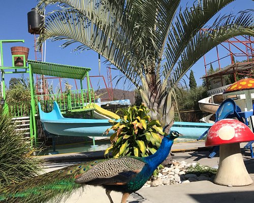 5 MEJORES parques de atracciones en Puebla 5 MEJORES parques de atracciones en Puebla