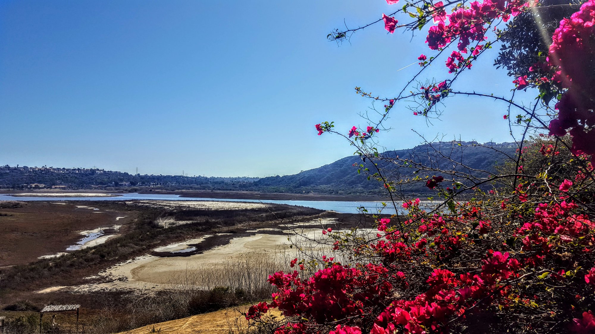 BATIQUITOS LAGOON Carlsbad Ce Qu Il Faut Savoir Pour Votre Visite   View Of The Lagoon From 