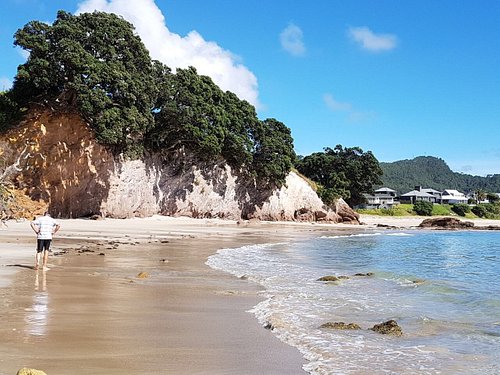 Hahei Beach Resort 80 ̶8̶5̶ Updated 2023 Prices And Campground Reviews New Zealand 9258