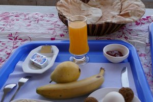 تناول الطعام