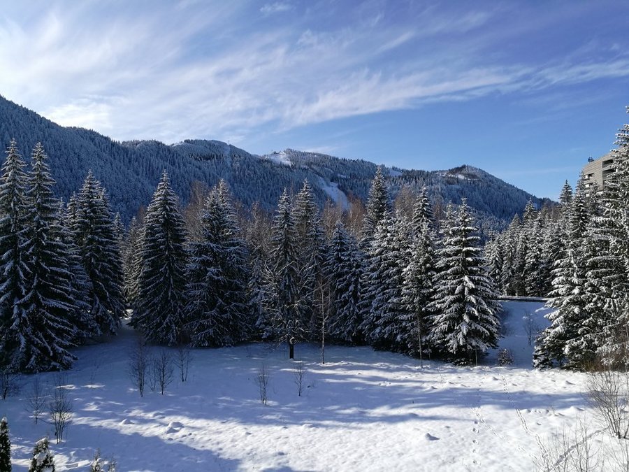 Pensiunea Orizont Bewertungen Fotos Preisvergleich Poiana Brasov Brasov County Rumanien Tripadvisor