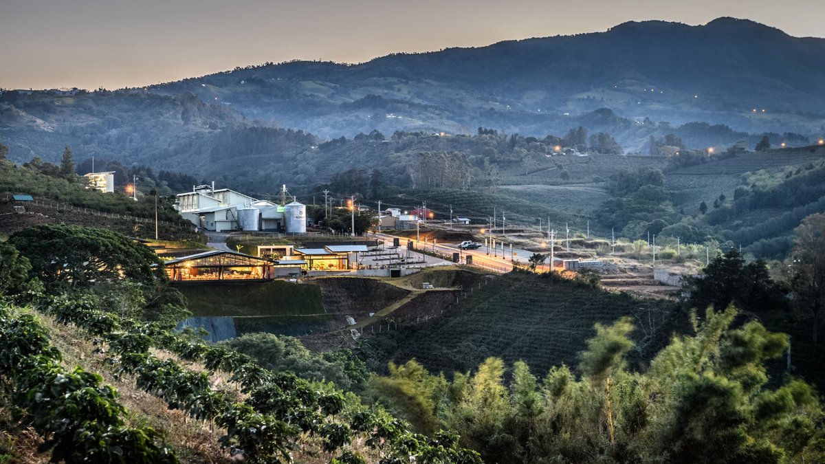 Hacienda Alsacia Starbucks Coffee Farm - All You Need to Know BEFORE ...