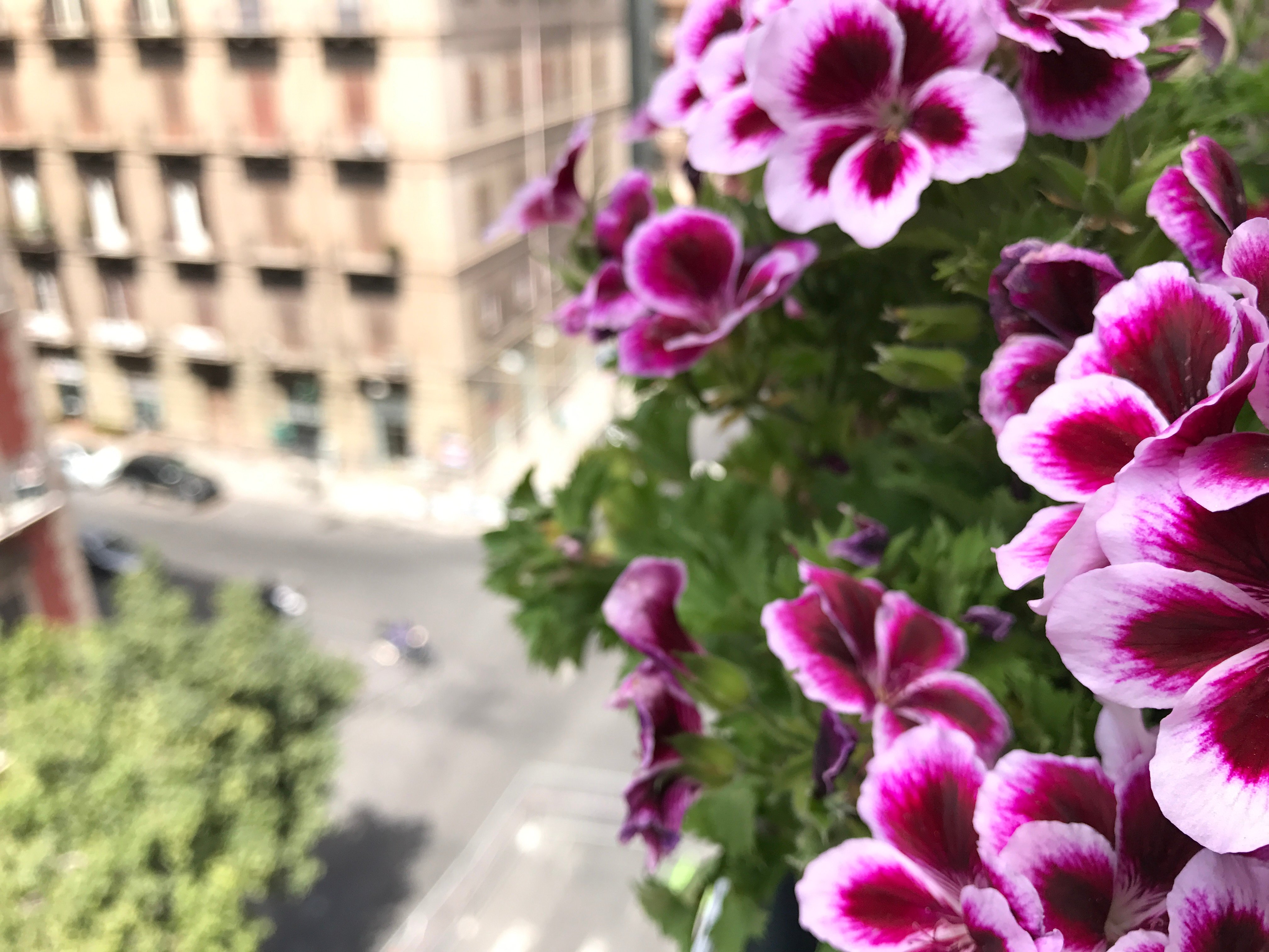 B&B POLITEAMA SQUARE - Prices & Reviews (Palermo, Sicily)