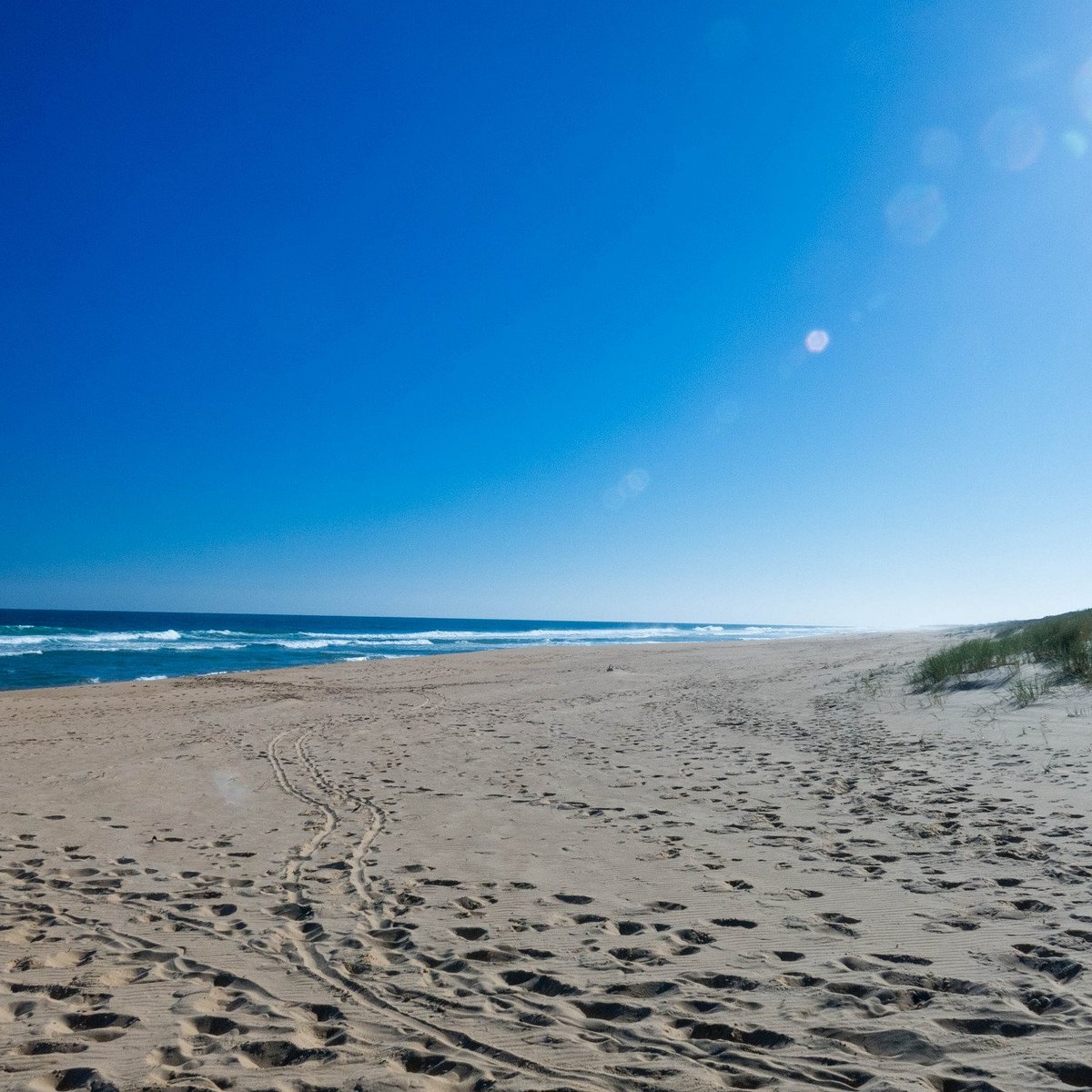 Fishing chart of Lakes Entrance - Picture of Lonsdale Eco Cruises, Lakes  Entrance - Tripadvisor