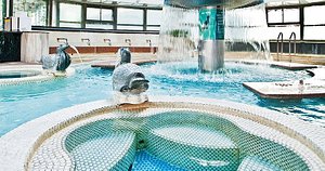 Hotel Nongshim in Busan, image may contain: Pool, Water, Resort, Swimming Pool