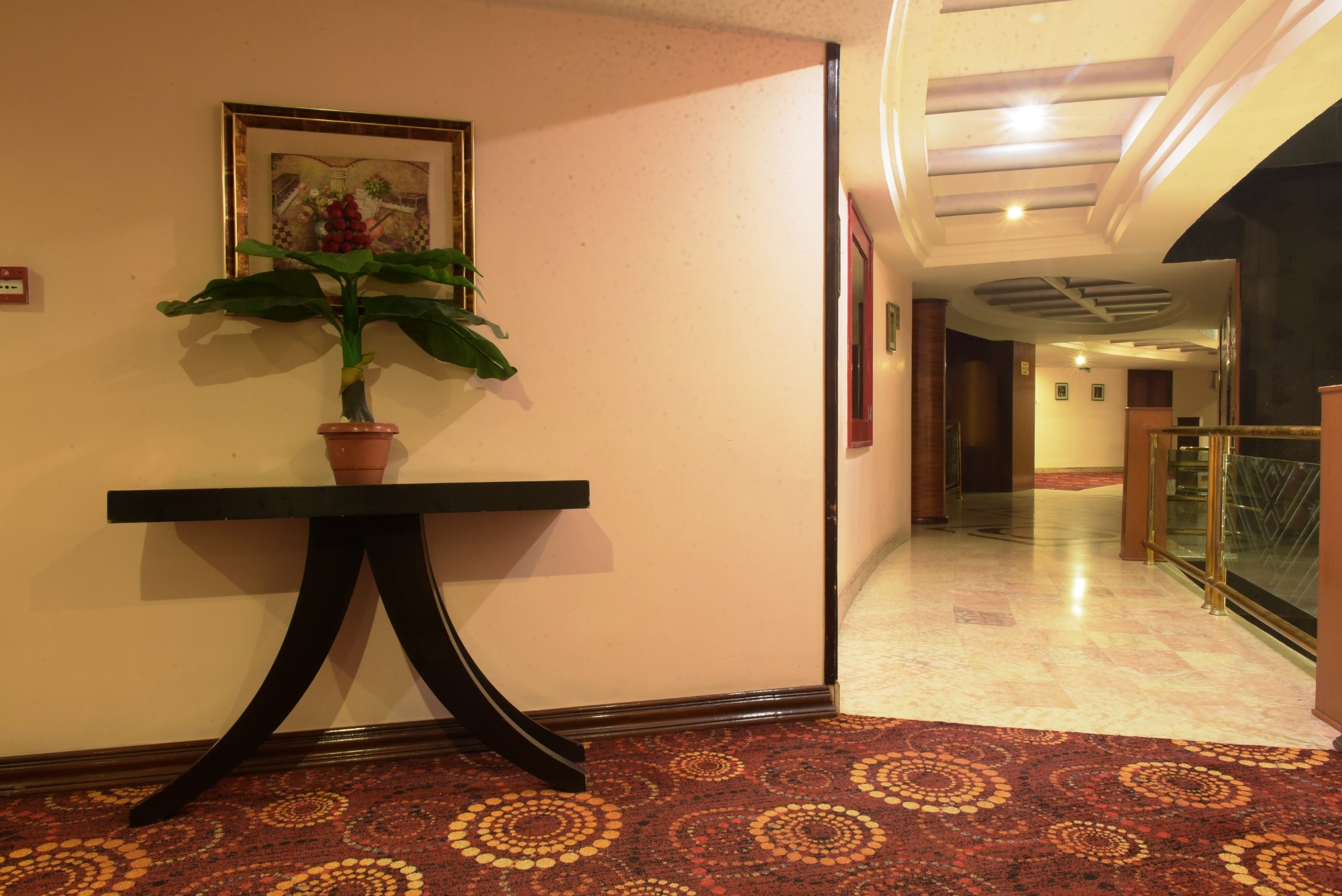 Hotel photo 5 of Hotel Babylon Inn.