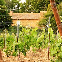 Le Domaine de La Palud