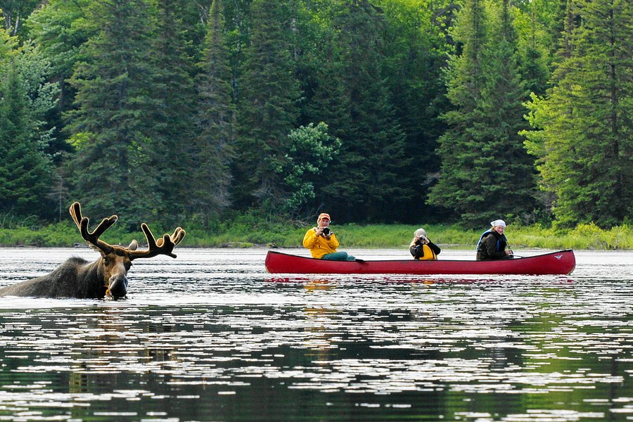 quest canoe trip