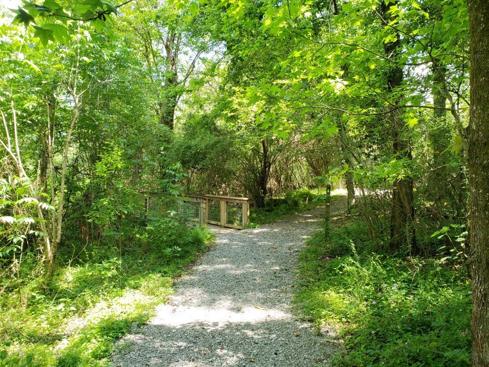 Bluebonnet Swamp Nature Center (Baton Rouge) - All You Need to Know BEFORE  You Go