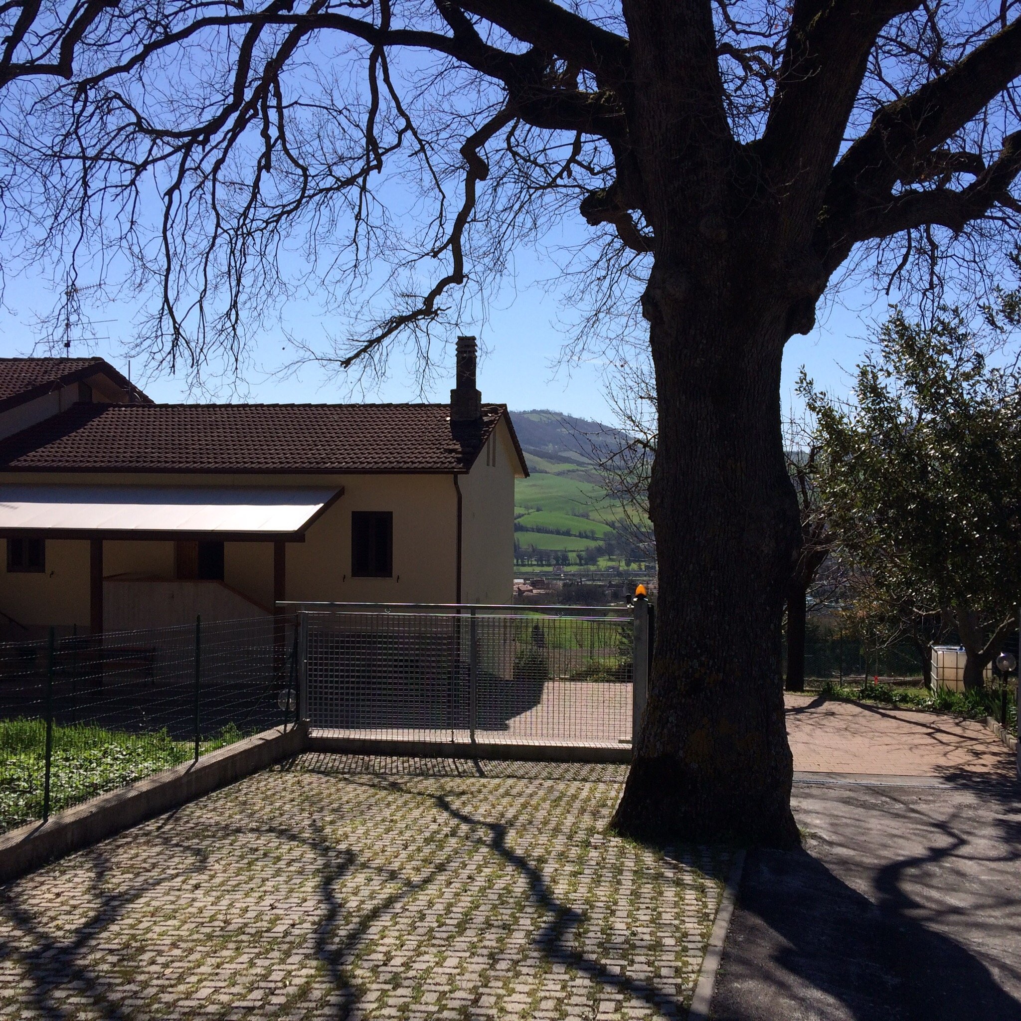 B&B IL GRANDE ALBERO - Lodge Reviews (Serra San Quirico, Italy)