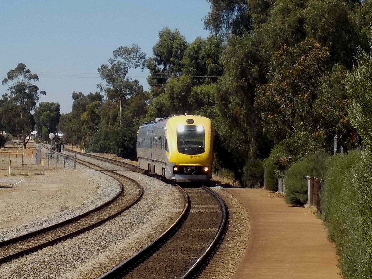 are dogs allowed on perth trains