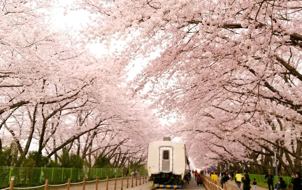 Nhà ga Gyeonghwa, Jinhae