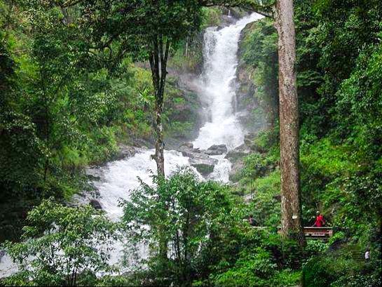 JUNGLE MOUNT (Kodagu (Coorg)/Virajpet)