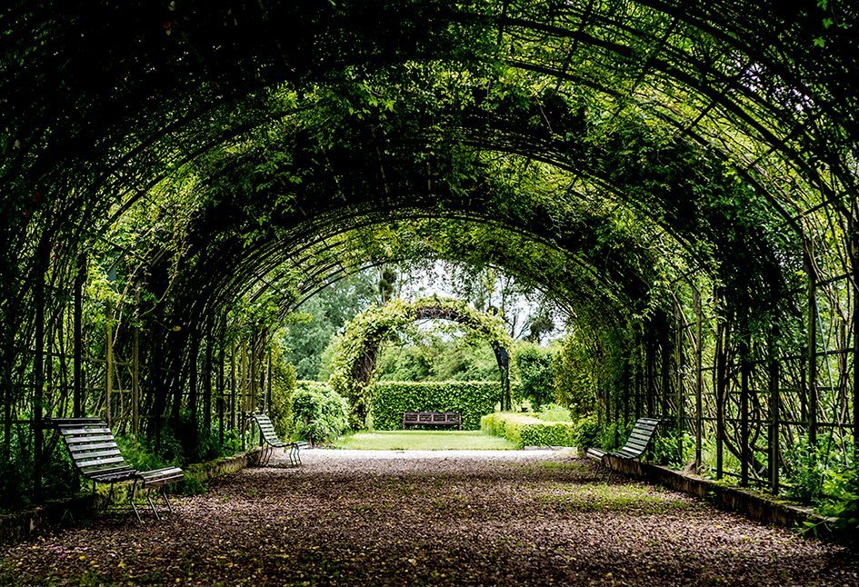 Jardin botanique de Marnay sur Seine