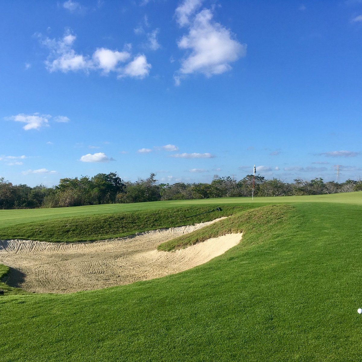 10+ El Tinto Golf Course