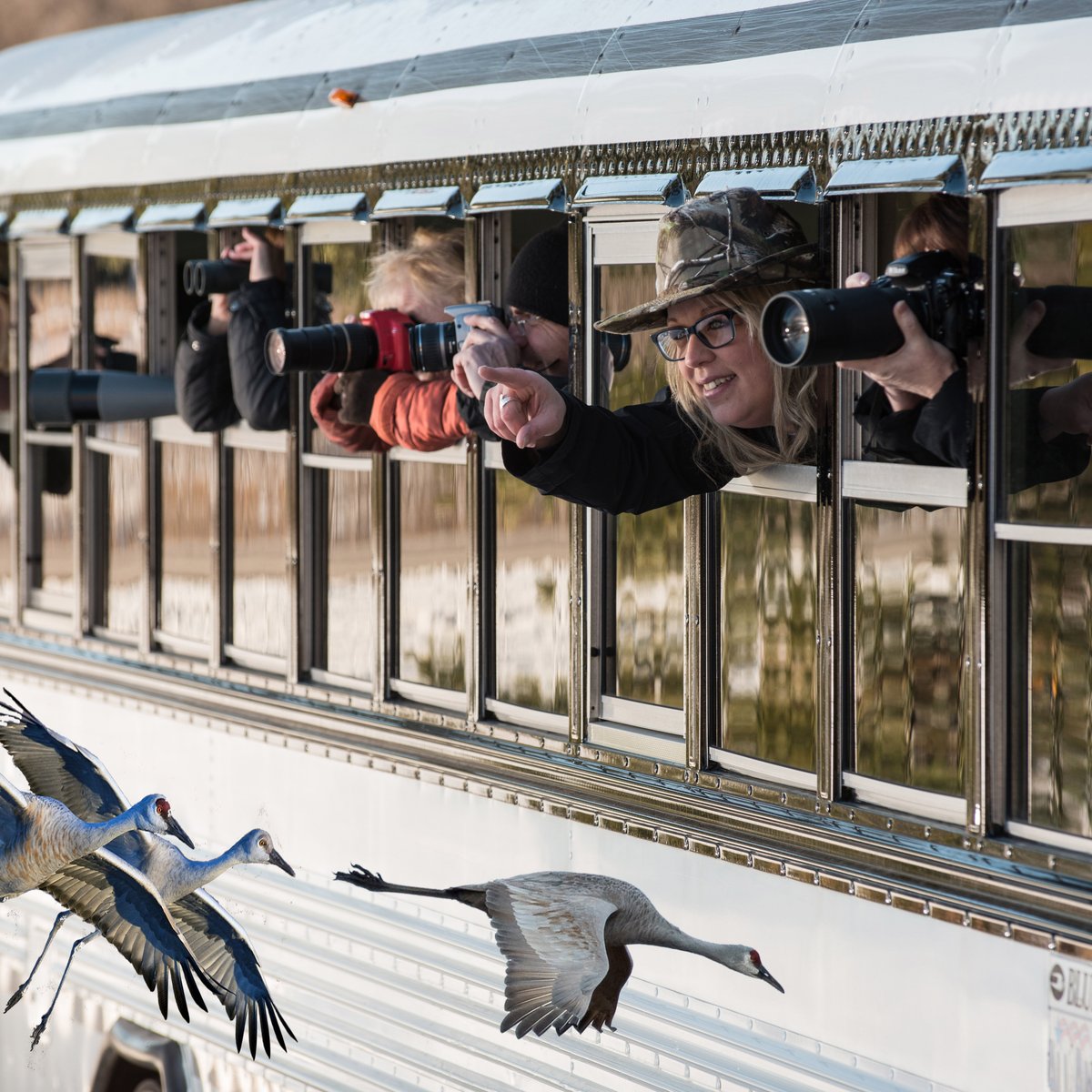 Adventure Bus and Charter (Kearney, NE) Address, Phone Number