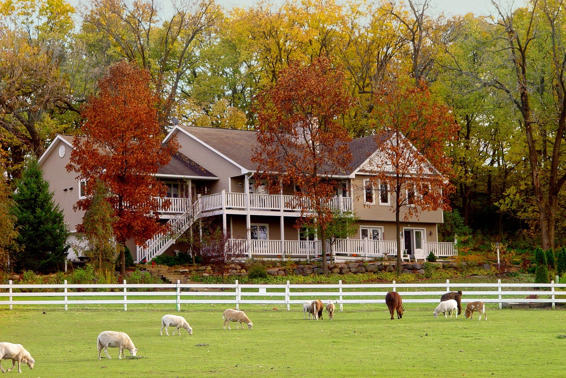 THE SPECKLED HEN INN BED & BREAKFAST (MADISON, WI): 459 Fotos ...