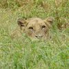 Afrilekka Tours
