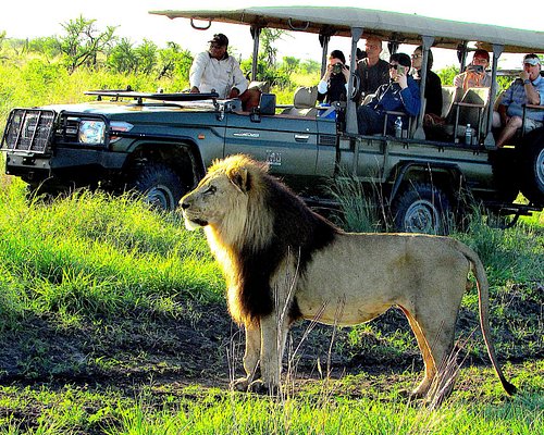 Die Besten Madikwe Wildreservat Angebote 2021 Tripadvisor