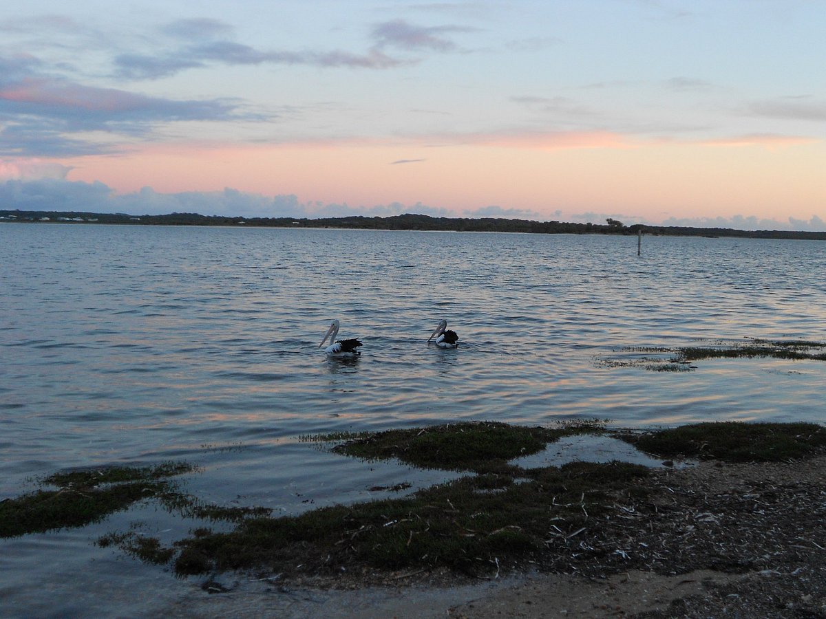 kayak tours kangaroo island