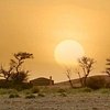 TravellerMan72