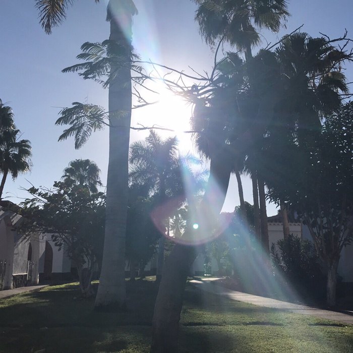 Imagen 18 de Sunny Bungalows Parque Golf in Maspalomas