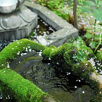 井の頭の石造物群 井の頭恩賜公園の弁天島付近 三鷹市井の頭4丁目1−7