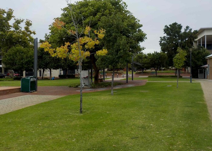 Pleasant grassy and treed area
