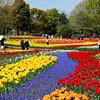 Things To Do in Hirata Park, Restaurants in Hirata Park