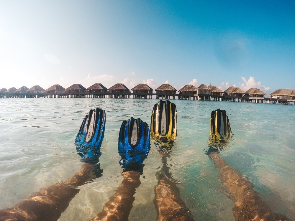 Dusit Thani Maldives сноркелинг