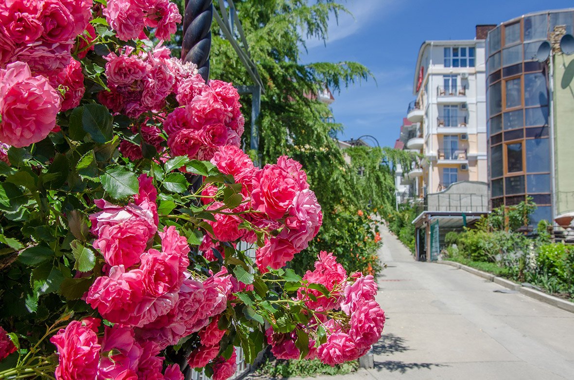 Вилла валентина алушта фото