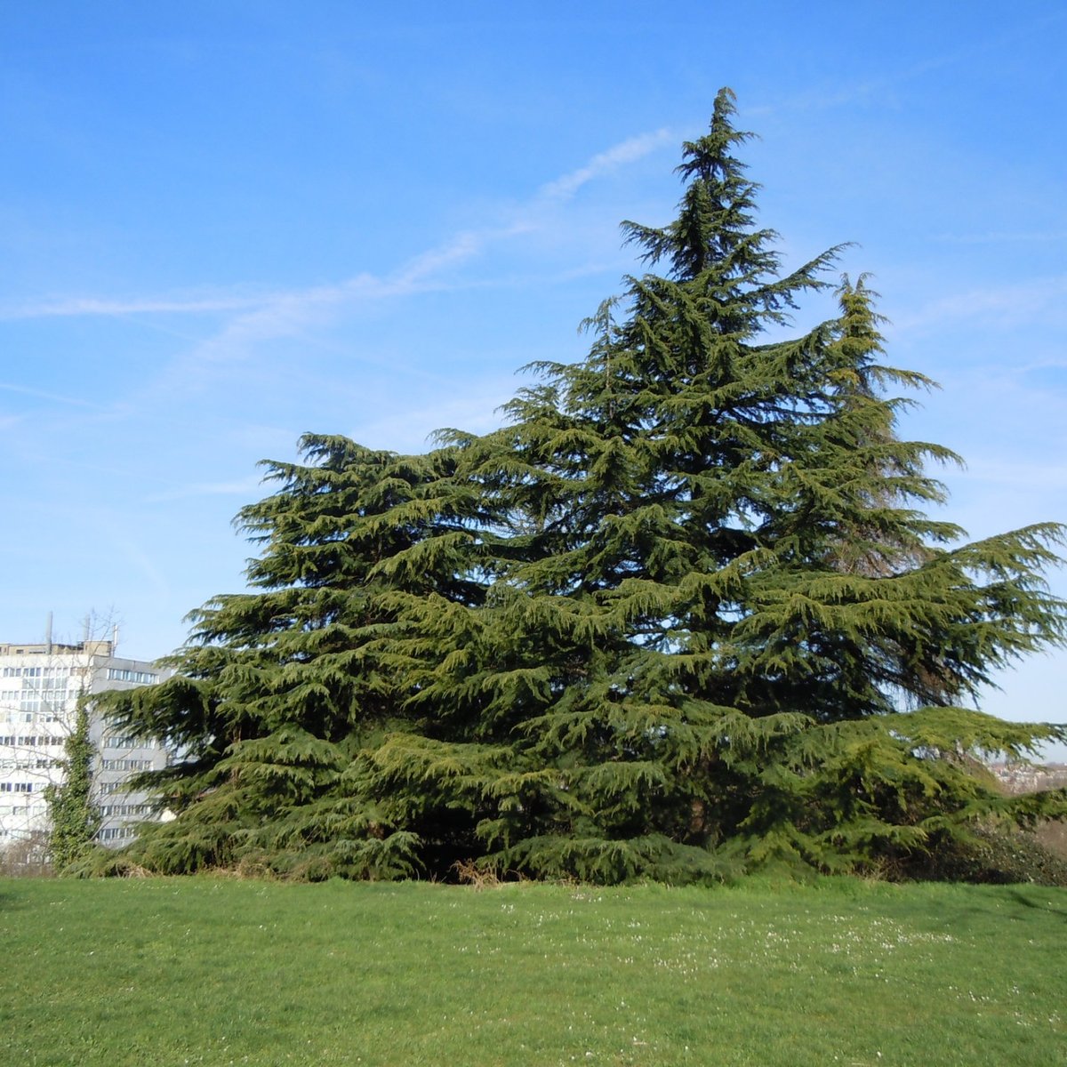 PARC DES BEAUMONTS (2024) All You Need to Know BEFORE You Go (with Photos)