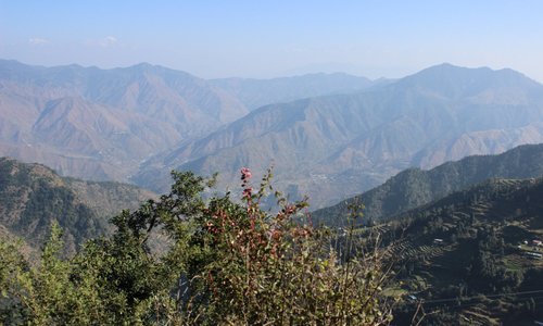 Dhanaulti Tourism (2023): Best of Dhanaulti, India - Tripadvisor