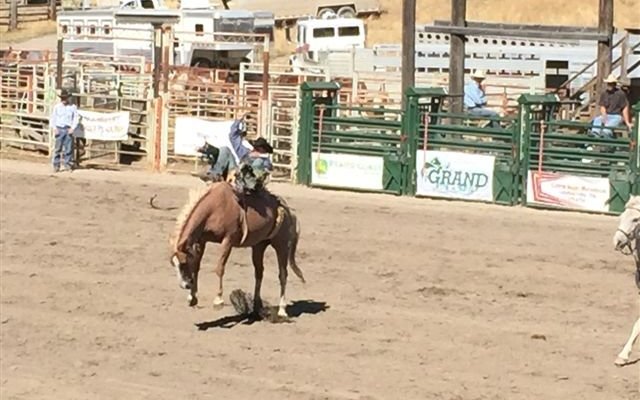 Action down at the Rodeo grounds on Labour Day weekend.