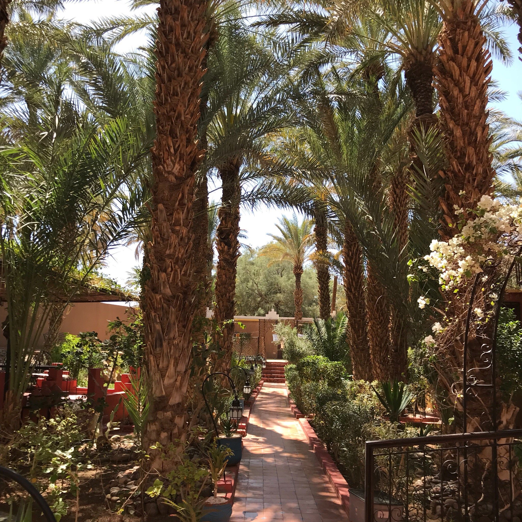 Hotel photo 36 of Riad Marrat.