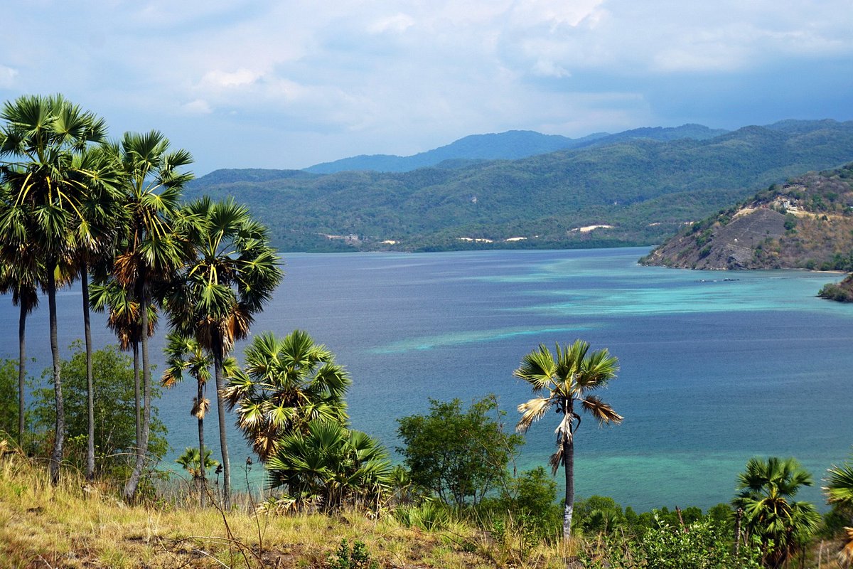 Tips Backpacker Murah dari Jakarta ke Labuan Bajo Bukin Cinta Labuan Bajo