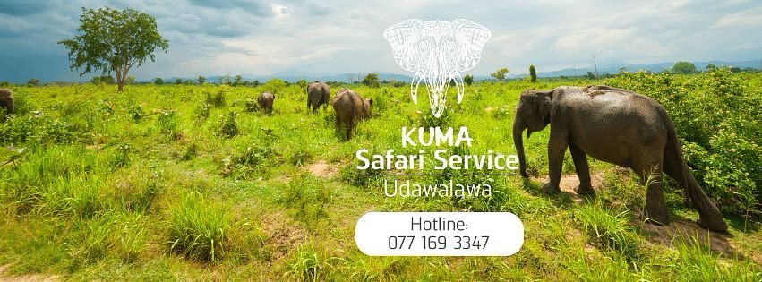 Kuma Safari Service Udawalawa image