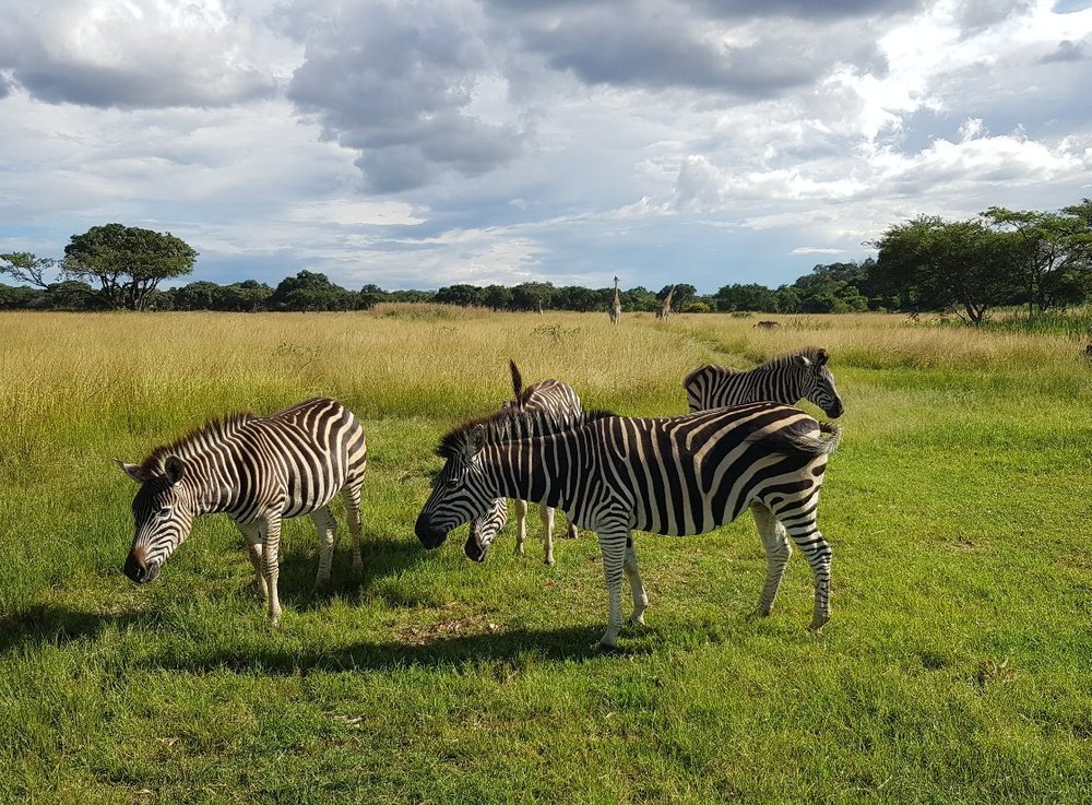 THE 10 BEST Things to Do in Zimbabwe - 2024 (with Photos) | Tripadvisor ...