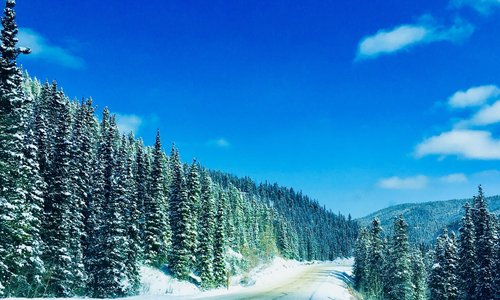 Fort Nelson, Kanada Tourismus in Fort Nelson Tripadvisor