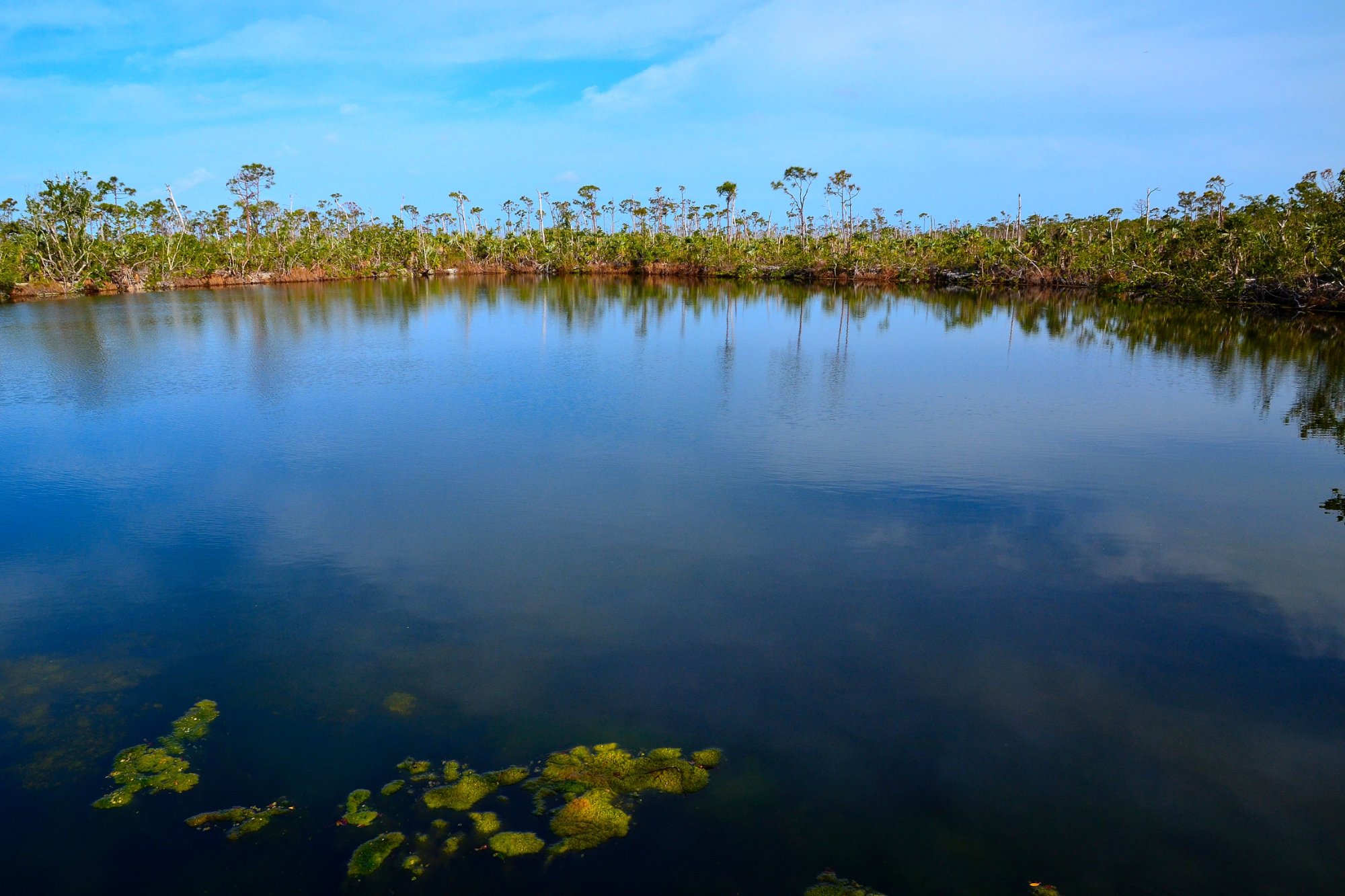 THE 10 BEST Florida Keys Nature and Wildlife Areas (with Photos)