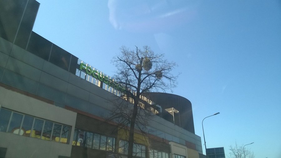 Focus Park Rybnik