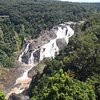 Things To Do in Private Half Day Tour: Exclusive World Heritage Rainforest and Waterfall Tour from Cairns, Restaurants in Private Half Day Tour: Exclusive World Heritage Rainforest and Waterfall Tour from Cairns