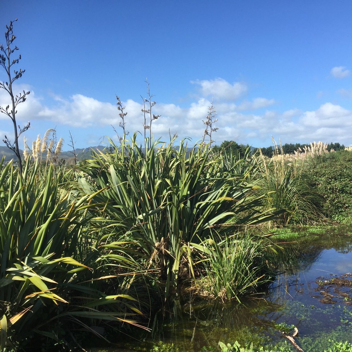 otaihanga-domain-paraparaumu-atualizado-2022-o-que-saber-antes-de