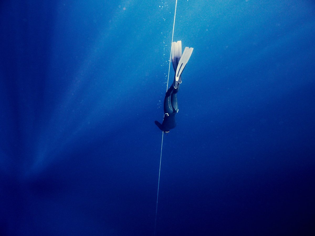 ROATAN FREEDIVING SCHOOL & TRAINING CENTER - All You Need to Know ...