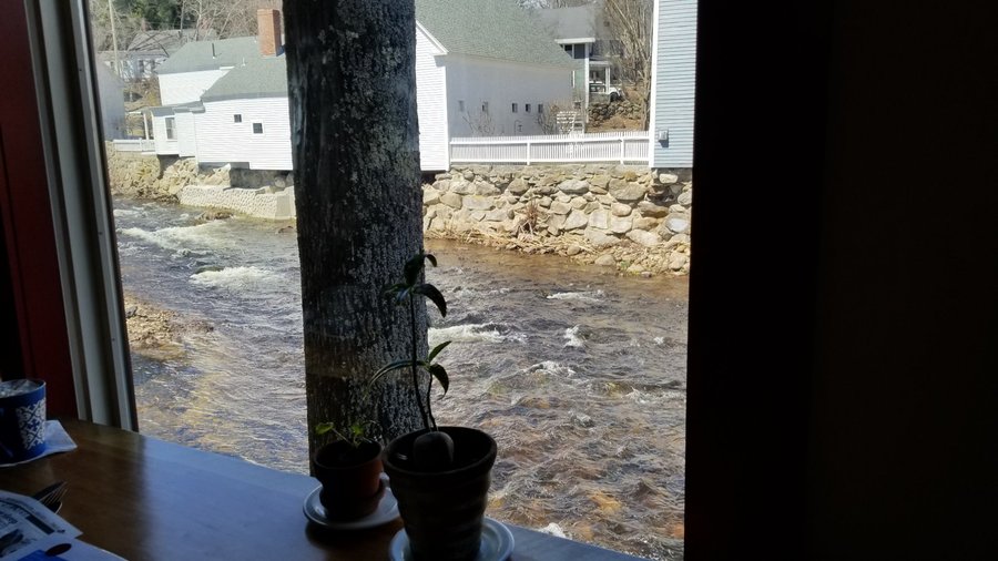 View from one of the window tables.