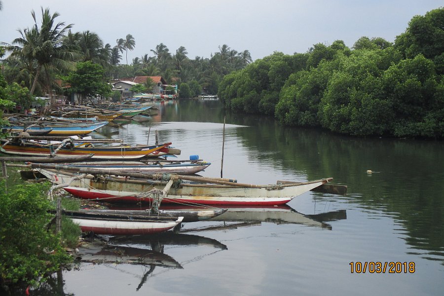 negombo lagoon boat trip price