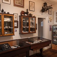 The Marine Gallery