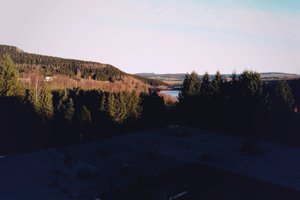 Oda ve Süit